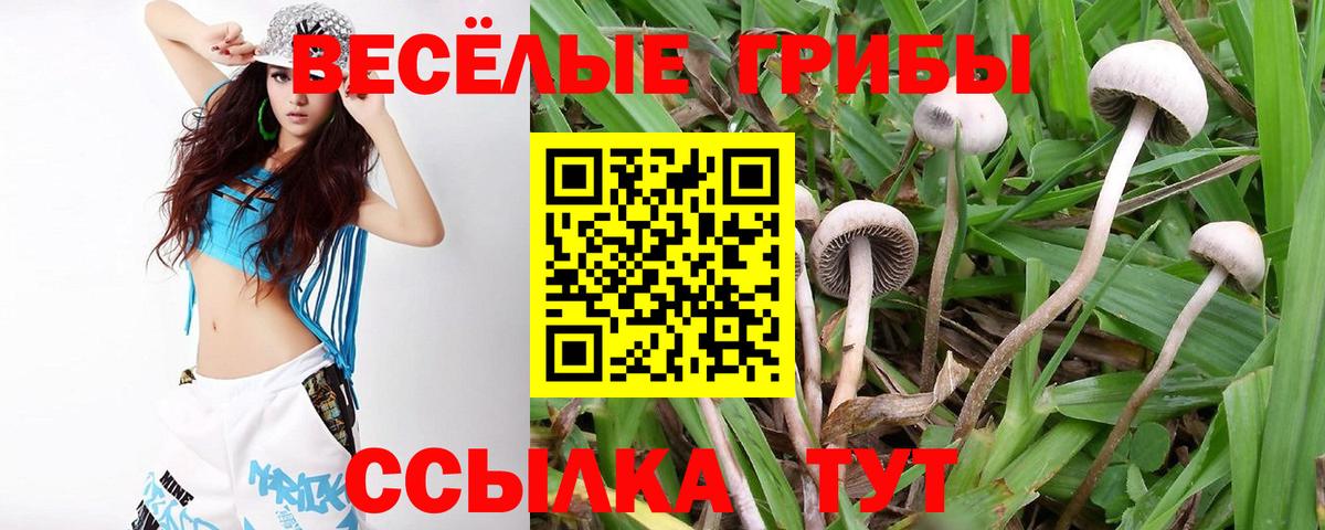 Псилоцибиновые грибы ЛСД Ханты-Мансийск